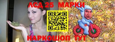 индика Новокубанск
