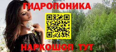индика Новокубанск